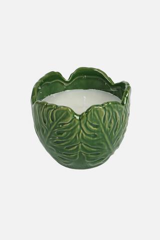 CABBAGE LEAVES GREEN