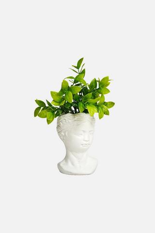 OLIVIA HEAD POTTED FAUX PLANT