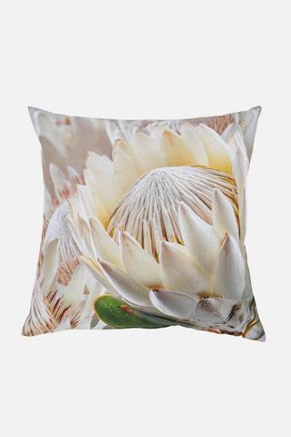 PROTEA SCATTER COVER 43X43CM