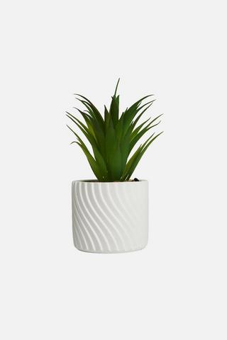 POTTED WAVY FAUX SUCCULENT