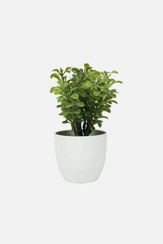 MINI POTTED FAUX GUM LEAF
