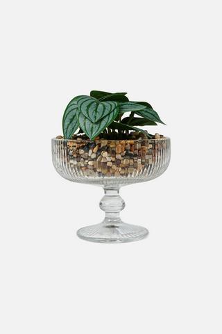 COCKTAIL GLASS FAUX PLANT