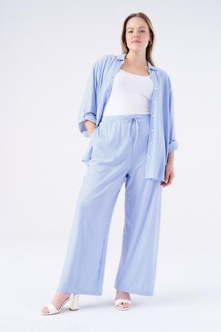 PINSTRIPE PANTS BLUE