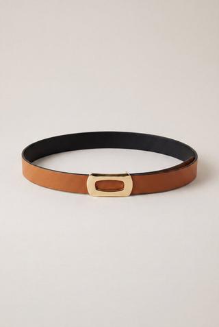 REVERSIBLE BELT