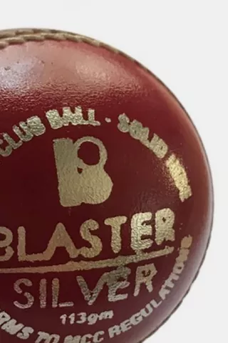 Gm Blaster Silver Cricket Ball 113g