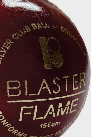 Gm Blaster Flame Cricket Ball
