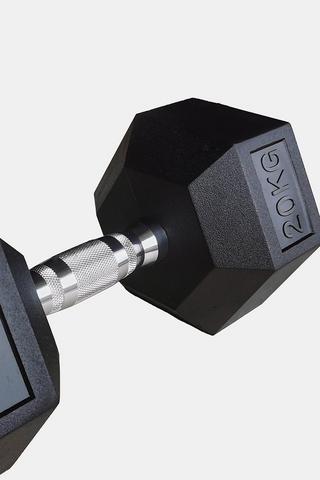 20kg Rubber Hexagon Dumbbell