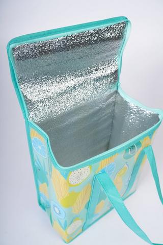 Cooler Bag