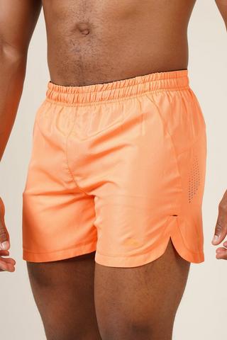 Shell Active Shorts