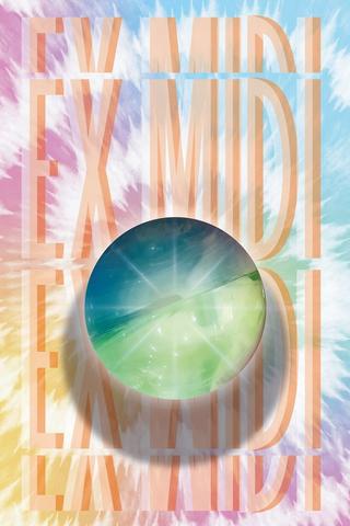 Zzoom Extreme Midi High Bounce Ball