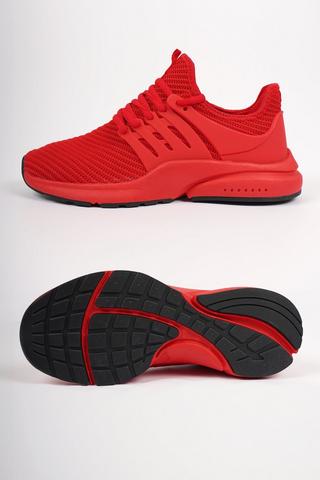 Proton Studio + Gym Trainer
