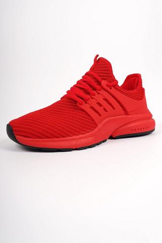 Proton Studio + Gym Trainer