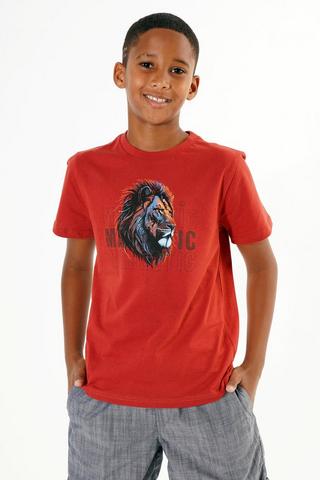 Cotton T-shirt