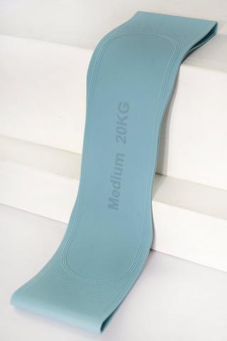 Fitness Band - Medium