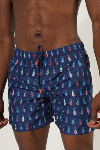 Elasticated Boardies