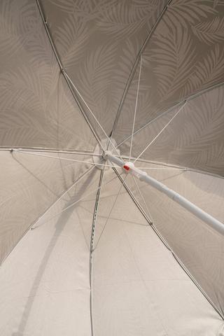Beach Umbrella