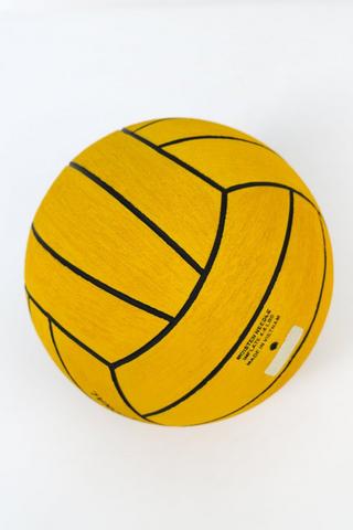 Water Polo Ball