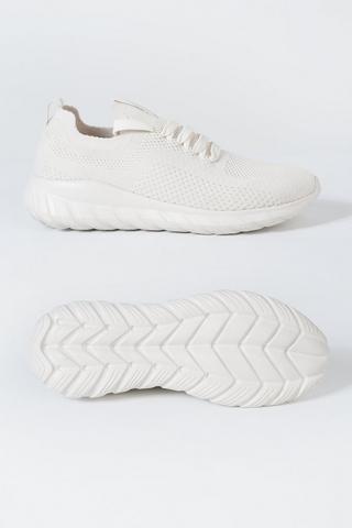 Nova Gym + Studio Trainers