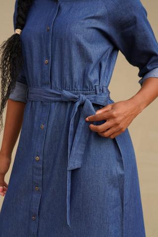 Denim Maxi Dress