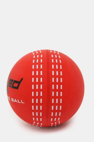 Practice Cricket Ball