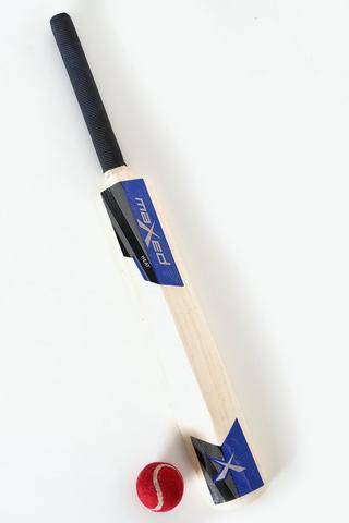 Cricket Bat And Ball Set