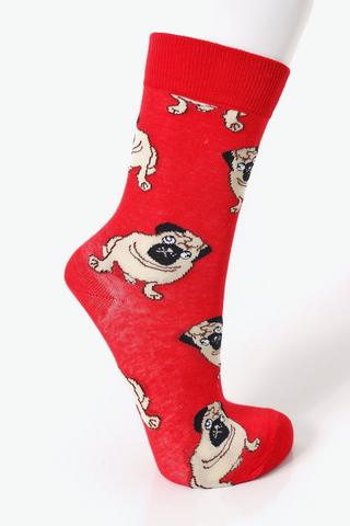 Fun Socks