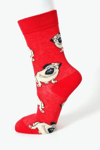 Fun Socks