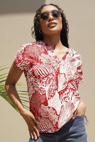 Short Sleeve Cotton Top