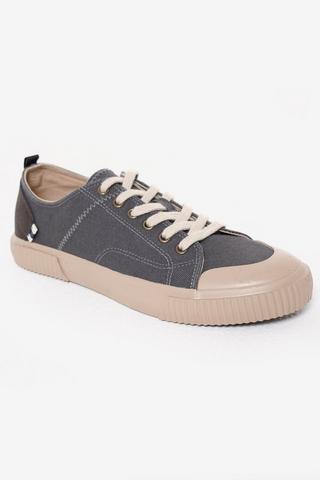 Canvas Shoe