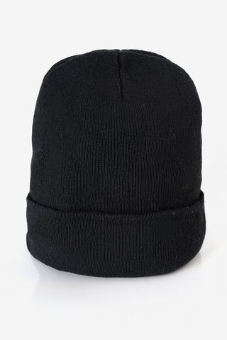 Turnup Beanie