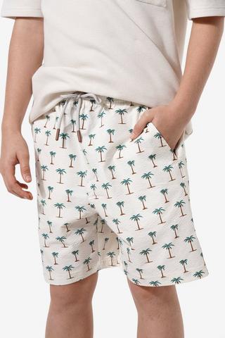 Seersucker Shorts