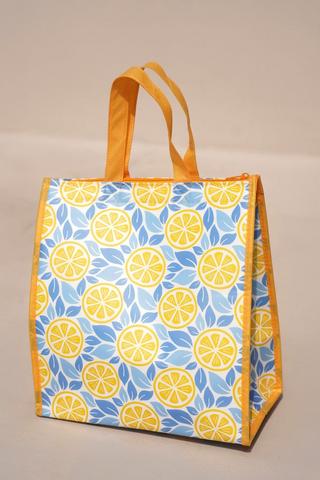 Cooler Bag