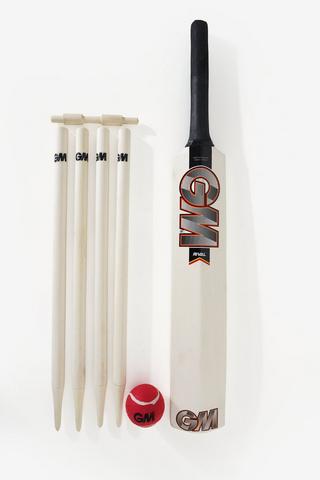 Gm Rival Cricket Set