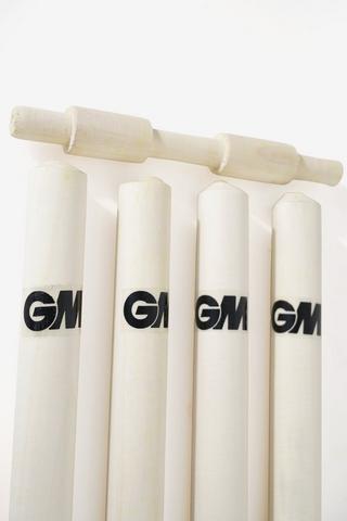 Gm Rival Cricket Set