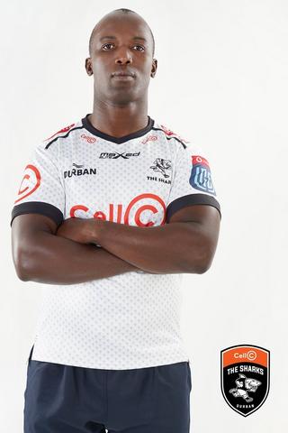 Elite Sharks Urc Replica Jersey