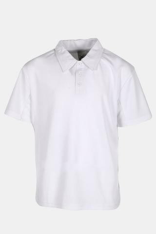 Cricket Golfer