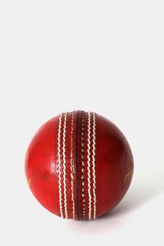 Academy Leather Cricket Ball