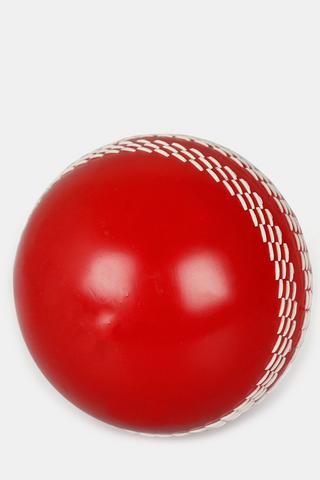 Pu Hard Training Ball
