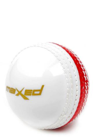 Pu Hard Training Ball