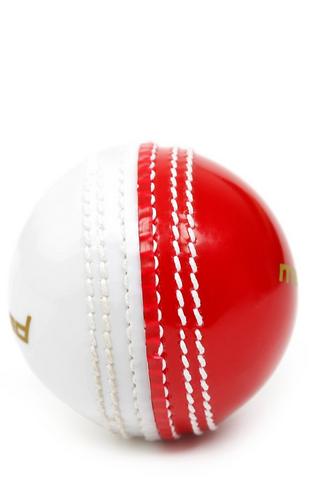 Pu Hard Training Ball
