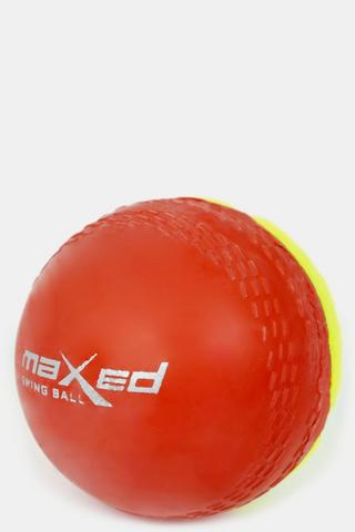 Swing Sting Ball