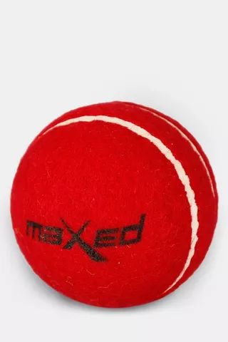 Practice Cricket Ball