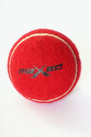 Practice Cricket Ball