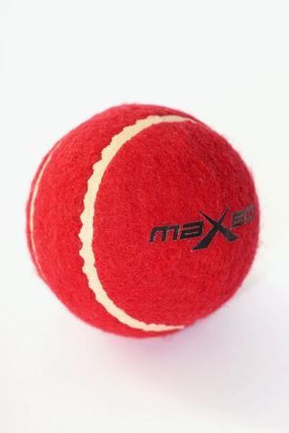 Practice Cricket Ball
