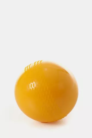 Bowling Trainer Ball