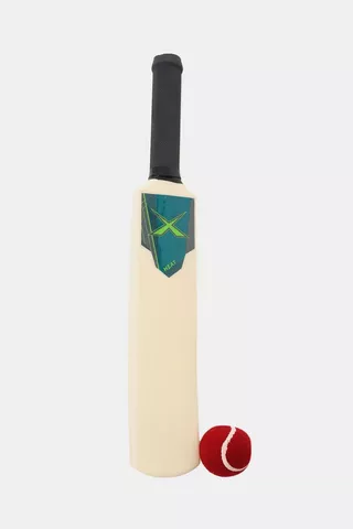 Cricket Bat And Ball Set