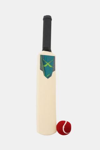 Cricket Bat And Ball Set
