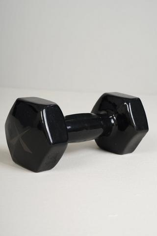 Dumbbell prices at mr best sale price sport