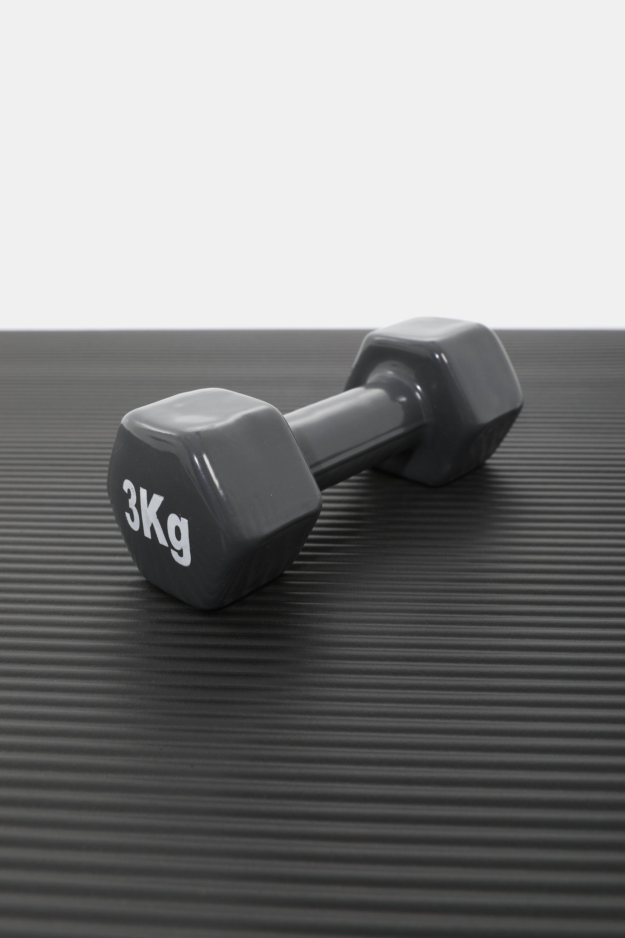 3kg dumbbells mr online price sport