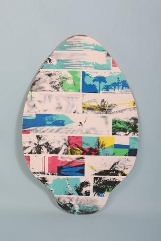 Skimboard